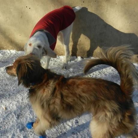 A Bit of Snow and What They Make us Wear