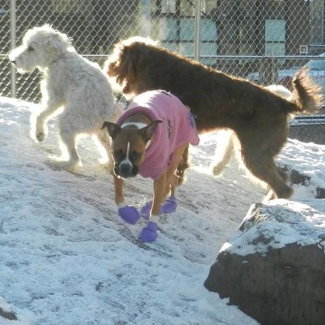 A Bit of Snow and What They Make us Wear