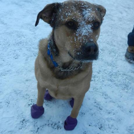 A Bit of Snow and What They Make us Wear