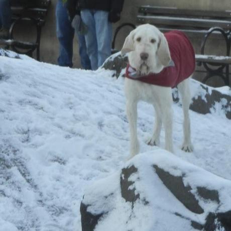 A Bit of Snow and What They Make us Wear