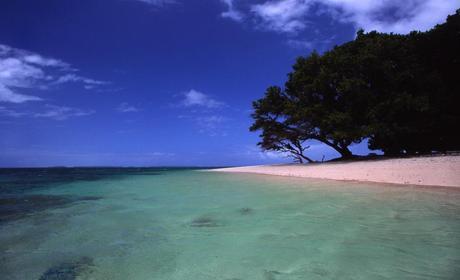 The Marshall Islands