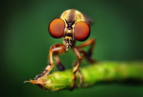 Amazing Pictures Photgraphy (11)