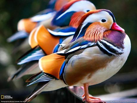 Amazing Pictures Photgraphy (9)