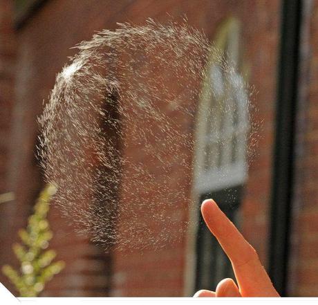 Amazing Pictures Photgraphy (2)