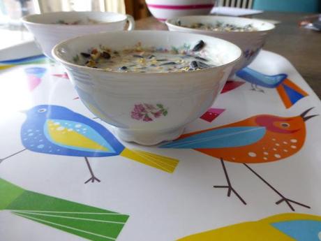 Homemade Bird Food Cups