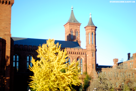 Photography: Museum Day