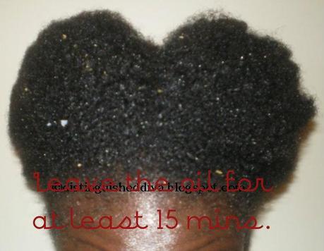 OliveOlifordryhair_zps85de250f photo OliveOlifordryhair_zps85de250f.jpg