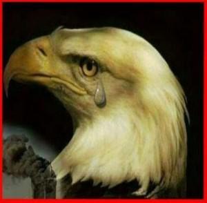 Eagle_Weeping_1