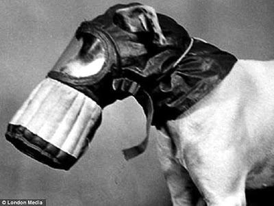DOGS of Honor: World War II DOGS Shown in Gas Masks!