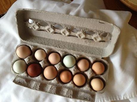 This Saturday we are heading to Detroit for a great...