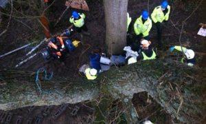 On 28 January, police and bailiffs moved in to evict anti-road protesters at Decoy Pond Camp in Combe Haven Valley along the route of the Bexhill-Hastings Link Road (BHLR). Photograph: Adrian Arbib/Combe Heaven Defenders