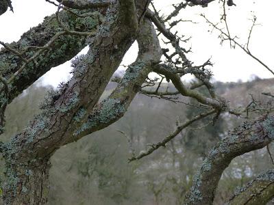 28/365 And not a carrot in sight