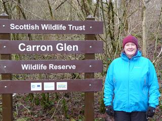 28/365 And not a carrot in sight