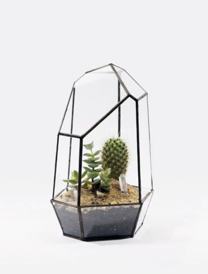 Interior garden: terrariums