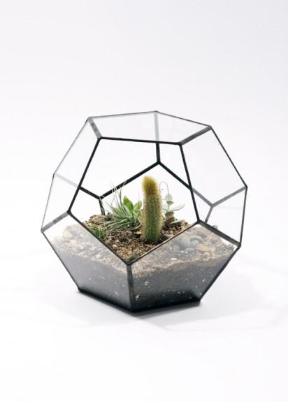 Interior garden: terrariums