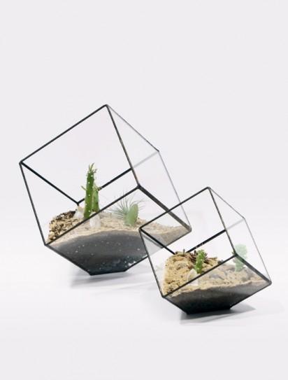 Interior garden: terrariums