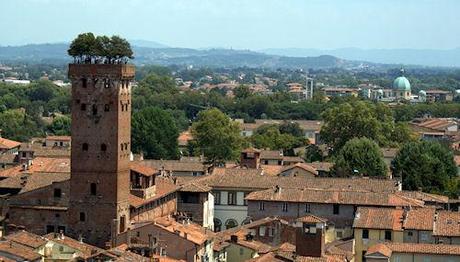 Torre Guinigi: The Tower With Oak Trees On The Top