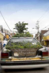 11 Unusual and Bizarre Hobbies guerrilla gardening by fullyreclined Flickr Creative Commons