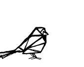 Calla, The East Coast Sparrow - EasternTrend Calla, The East Coast Sparrow - EasternTrend