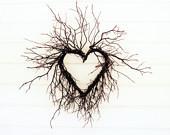 SALE Tree branches love heart - Valentines day - photograph natural rustic wedding marriage white cottage chic Photograph 8x10 Wild Heart - LupenGrainne SALE Tree branches love heart - Valentines day - photograph natural rustic wedding marriage white cottage chic Photograph 8x10 Wild Heart - LupenGrainne