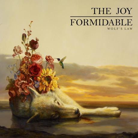 542632 10151281327235783 91241549 n The Joy Formidable   Wolfs Law