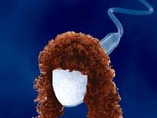 Sperm With Perm He’s Game Gamete!