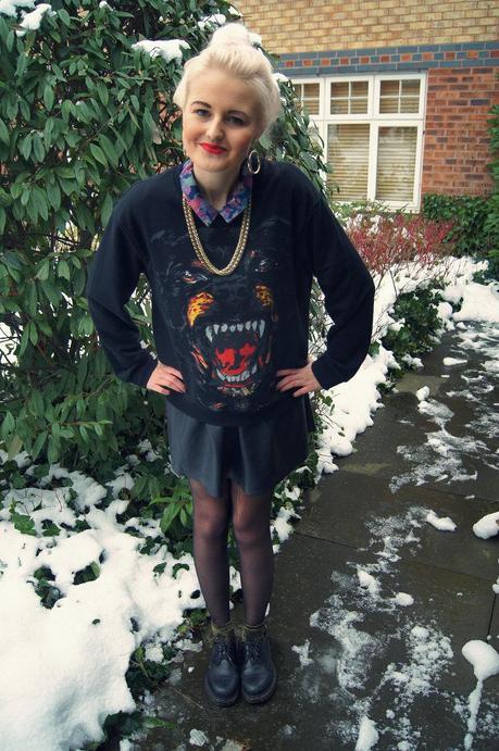 ROTTWEILER & LEATHER