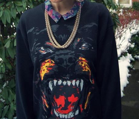 ROTTWEILER & LEATHER