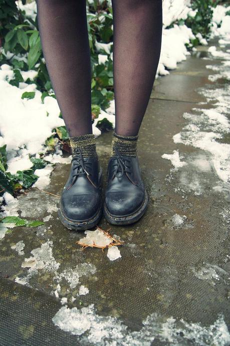 ROTTWEILER & LEATHER