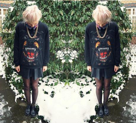 ROTTWEILER & LEATHER