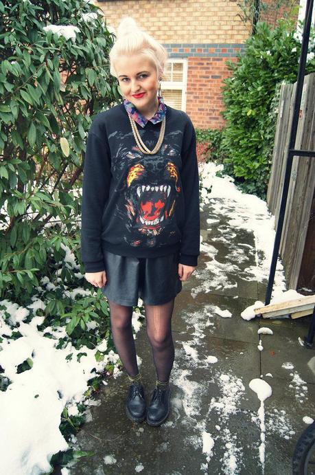 ROTTWEILER & LEATHER