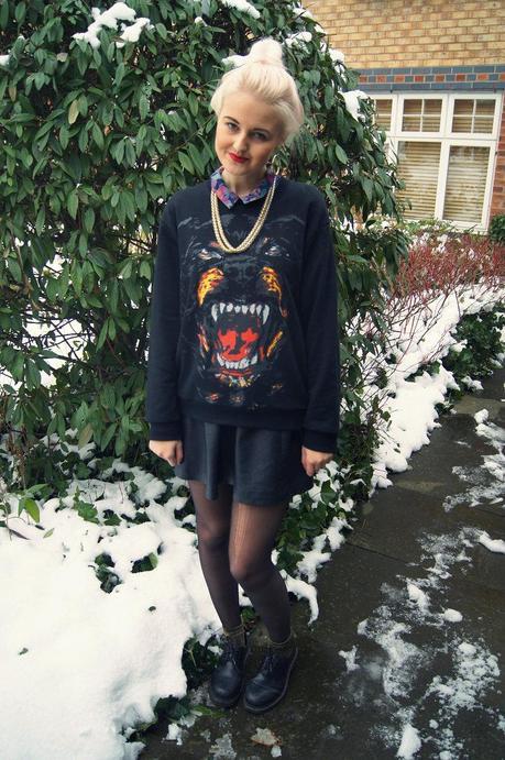 ROTTWEILER & LEATHER