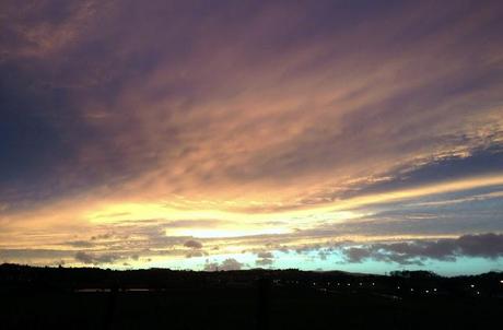29/365 looking up and walking into puddles