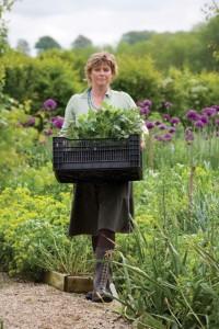 Sarah Raven carries tray of plants.