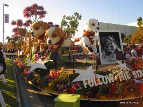 2013 Rose Float - 17