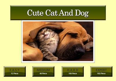 Cute Cat And Dog