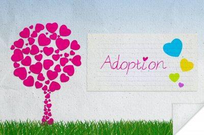 Adoption Love and Commitment