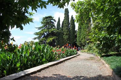 Botanic Garden 6
