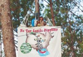 Protester sits in the trees above the Keystone XL pipeline construction outside Wells, Texas.