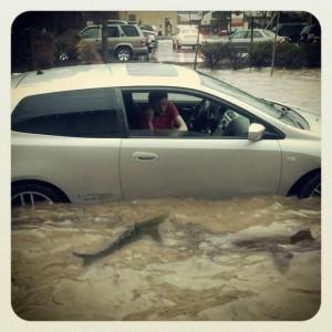 Apparently the water was so dirty Honda didn't even notice the sharks...Photo by Derek Lee Johnson 