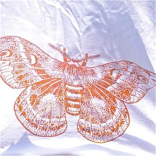 the moth grand slam winner tara clancy