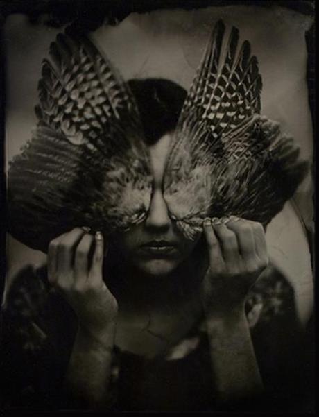 Pretty…but my first question is: where does one gets bird wings?