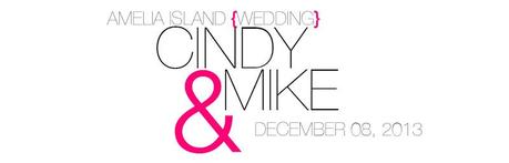 Cindy & Mike are married! // Ritz Carlton Amelia Island Wedding Photographer