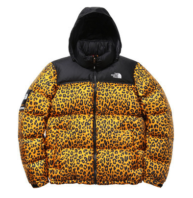 cheetah print northface The Roster  2013 MUST have Fashion Items
