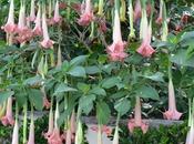 Weekly Photo Challenge: Unique