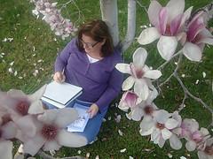Writing Plein Air Under a Tulip Magnolia Tree