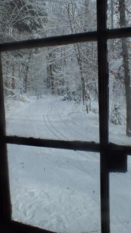 view out window of Fen Lake ski cabin - Algonquin Park - Ontario