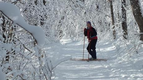 Jean x-country skiing in Algonquin Park - Ontario