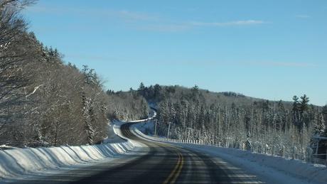 Highway 60 in Algonquin Park - Ontario - Canada