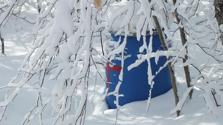 Emergency barrel under snow covered trees - Fen Lake Ski Trail - Algonquin Park - Ontario